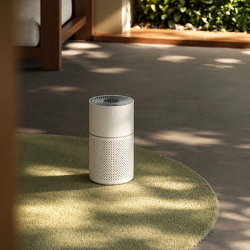 Home Air Purifier